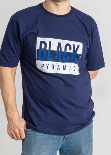 1590-2 Синя чоловіча футболка (ALPER, 4 од., розміри батал: 2XL. 3XL. 4XL. 5XL) - фото 3