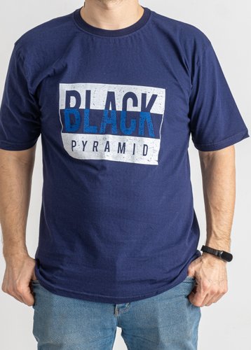 1590-2 Синя чоловіча футболка (ALPER, 4 од., розміри батал: 2XL. 3XL. 4XL. 5XL) - фото 2